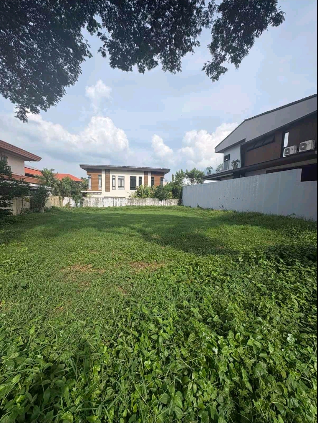 Vacant 540 sqm lot for sale in Ayala Alabang Village