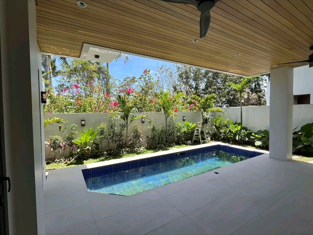Swimming pool beside a covered lanai with timber ceiling and landscaped garden